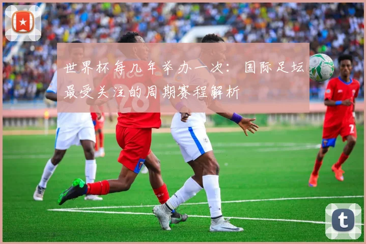世界杯每几年举办一次:国际足坛最受关注的周期赛程解析