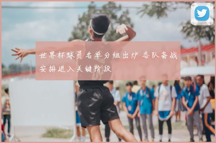世界杯球员名单分组出炉 各队备战安排进入关键阶段