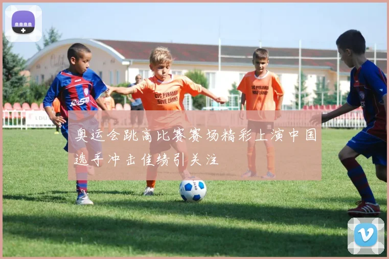 奥运会跳高比赛赛场精彩上演中国选手冲击佳绩引关注