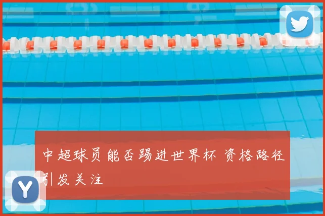中超球员能否踢进世界杯 资格路径引发关注