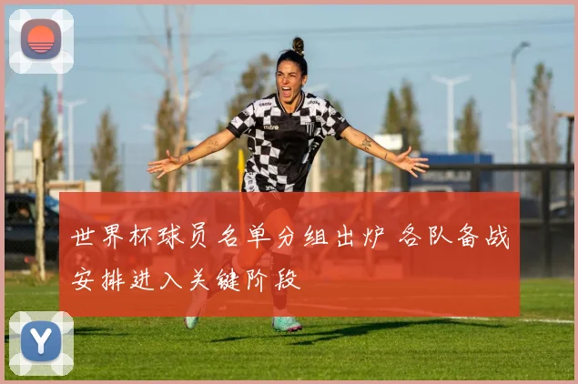 世界杯球员名单分组出炉 各队备战安排进入关键阶段