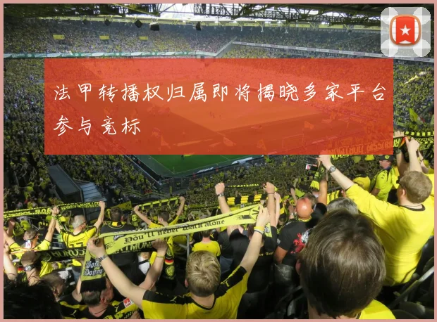 法甲转播权归属即将揭晓多家平台参与竞标