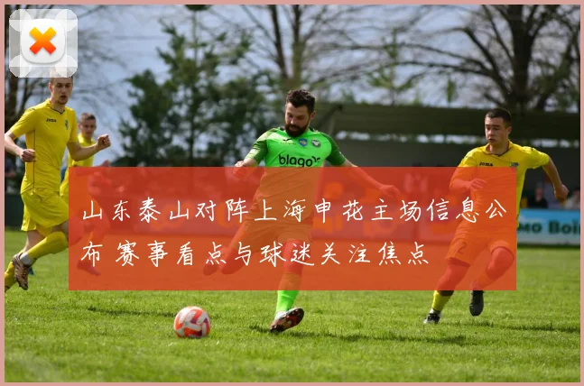山东泰山对阵上海申花主场信息公布 赛事看点与球迷关注焦点