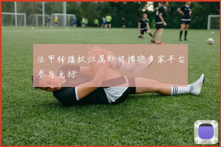 法甲转播权归属即将揭晓多家平台参与竞标