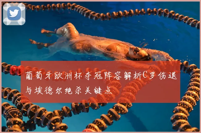 葡萄牙欧洲杯夺冠阵容解析C罗伤退与埃德尔绝杀关键点