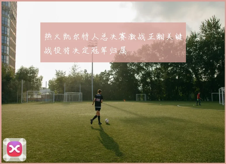 热火凯尔特人总决赛激战正酣关键战役将决定冠军归属