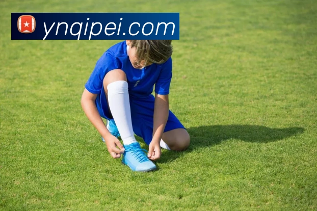 巅峰国际app官方下载渠道服务体系